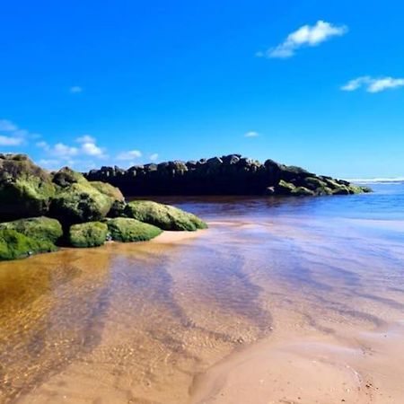 Superbe Studio A 8Mn En Voiture De La Plage Linxe Экстерьер фото